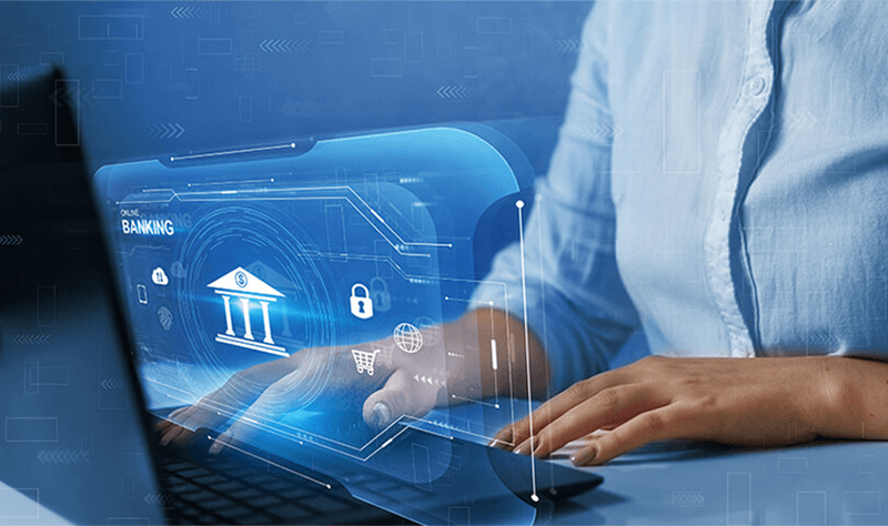 Delinquency Payment Management System