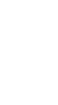 usa statue